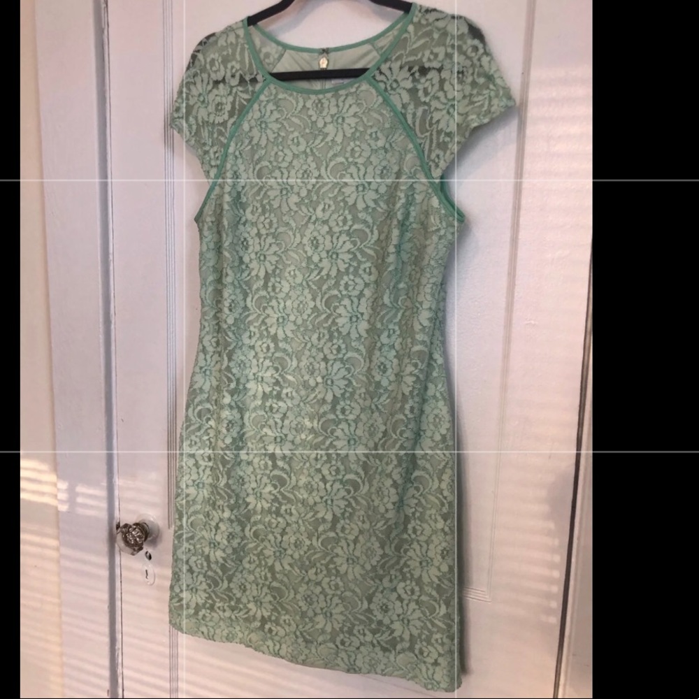 Knee Length Dress, Lace (Mint) - NY&Co
